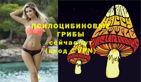 сатива Протвино