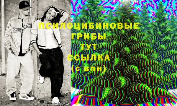 сатива Протвино